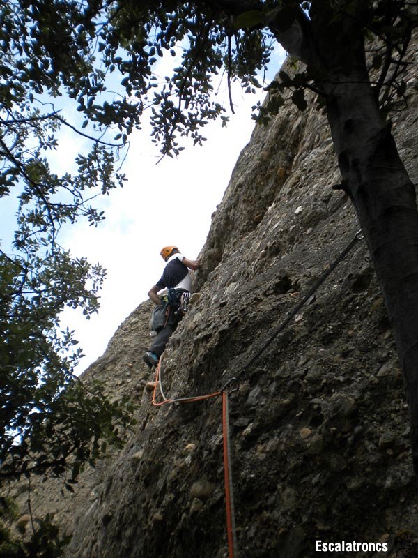 Quarta tirada